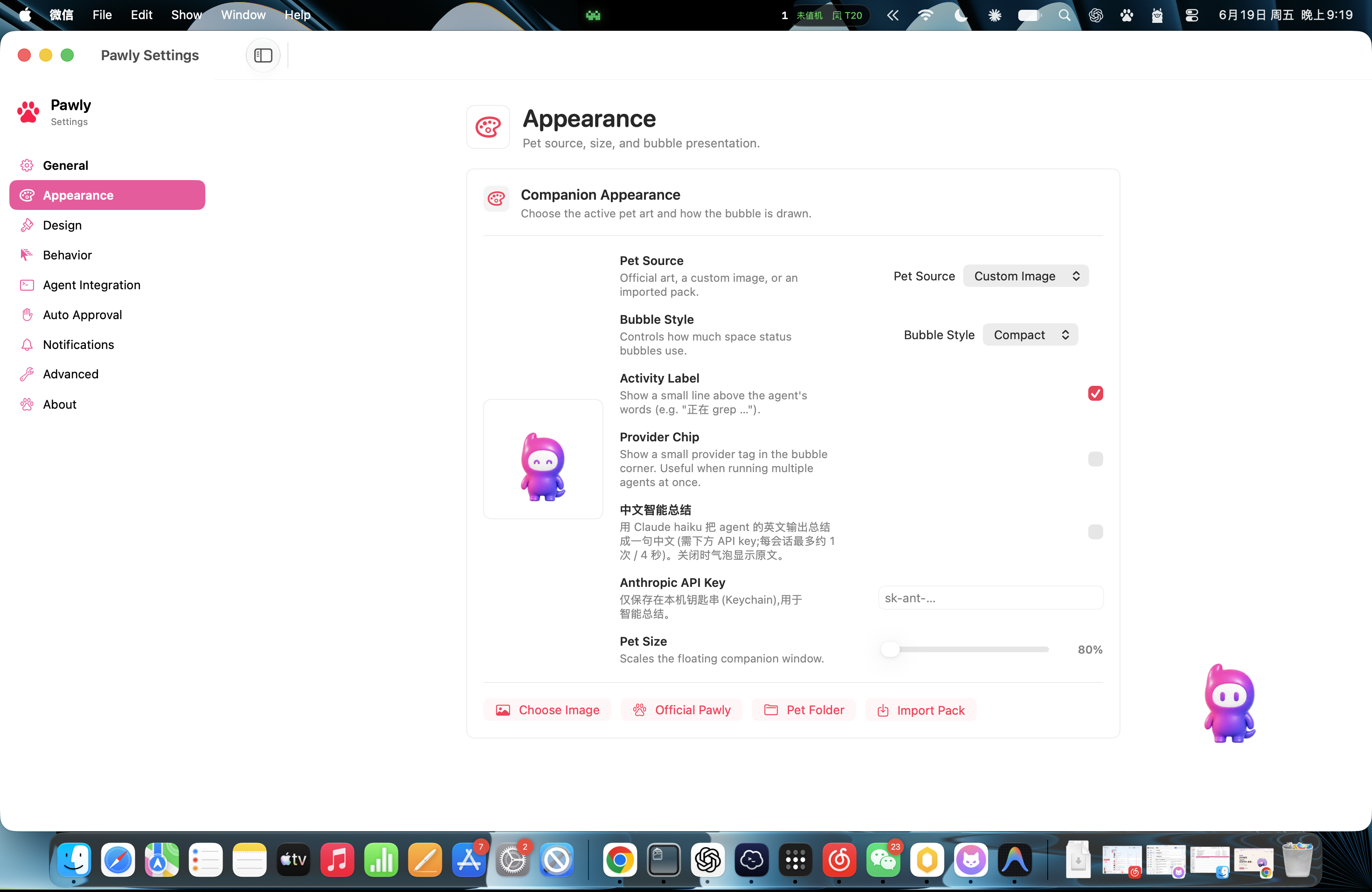 Pawly appearance settings